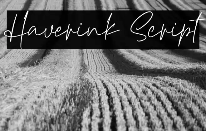 Haverink Script Font examples