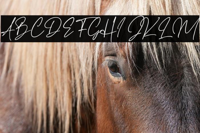 HaverinkScript Example 3