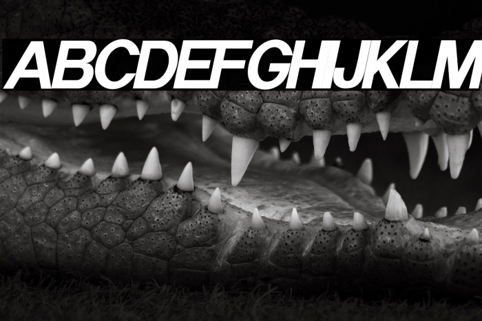 Havertize Italic Example 1