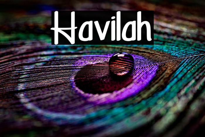 Havilah Example 1