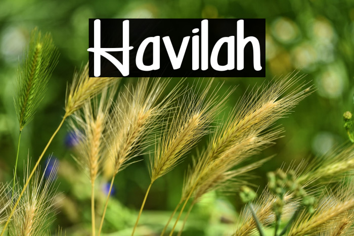 Havilah Example 2