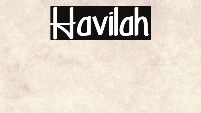 Havilah Example 3