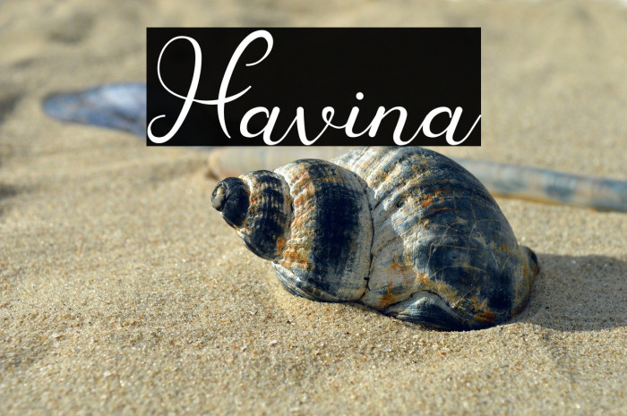 Havina Example 1