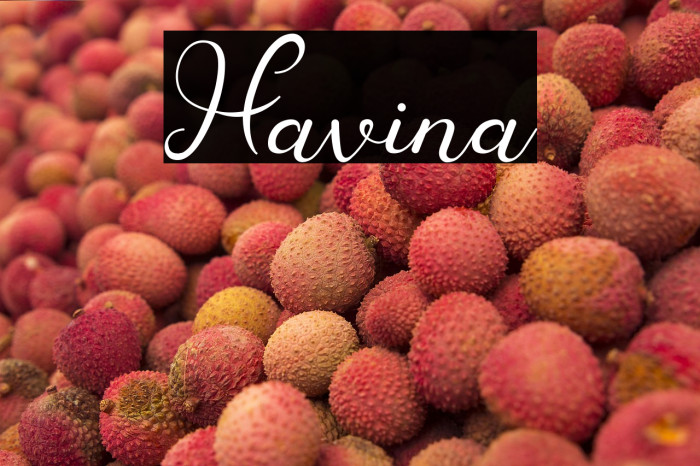 Havina Example 2