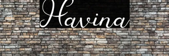 Havina Example 3