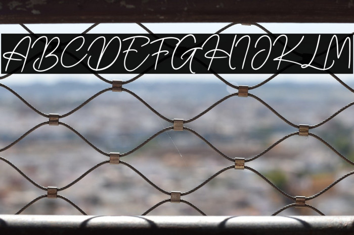 HavioletaHandwrittenFree-Reg Example 2