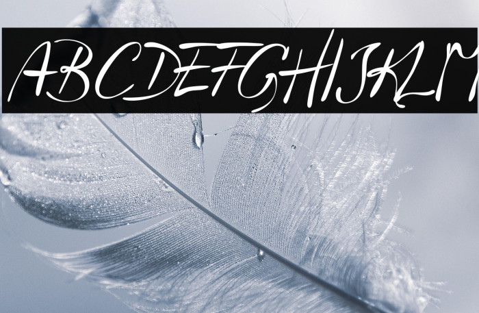 Havlova-Austral Example 3