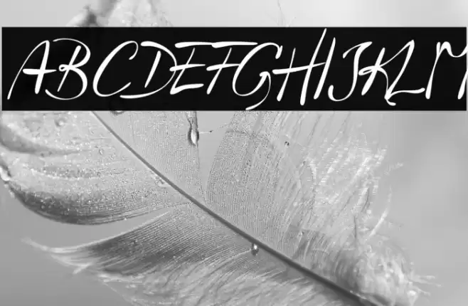 Havlova-Austral Font examples