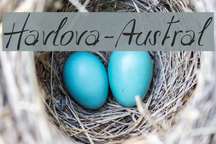 Havlova-Austral Example 1