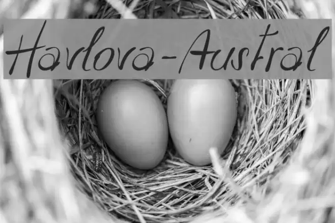 Havlova-Austral Font examples