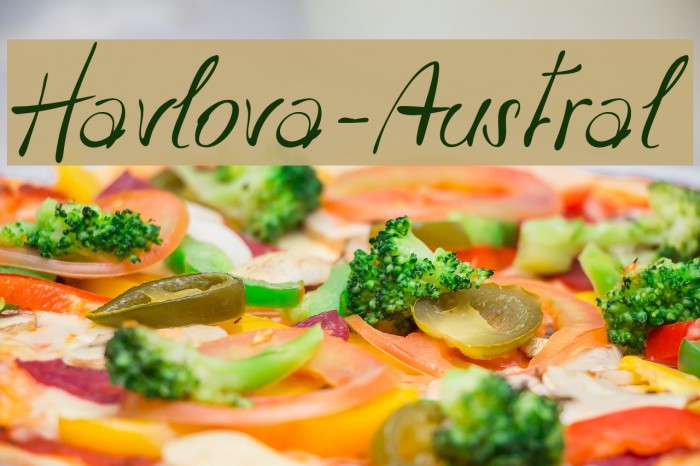 Havlova-Austral Example 2