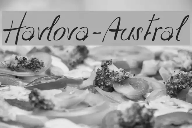 Havlova-Austral Font examples