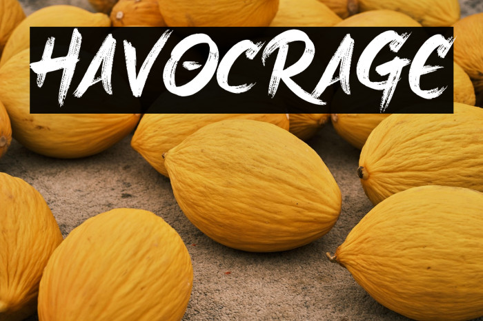 Havoc Rage Example 2