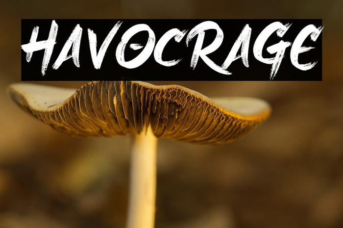 Havoc Rage Example 3