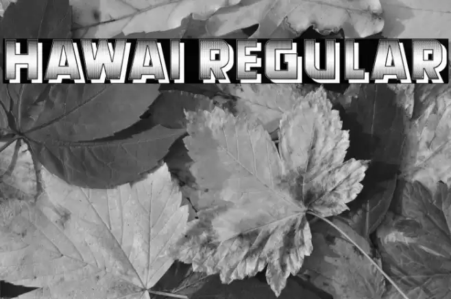 Hawai Regular Font examples