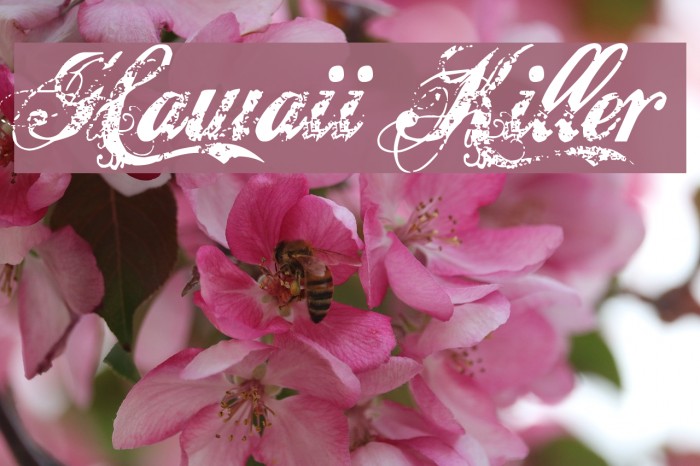 Hawaii Killer Font examples
