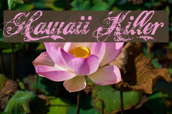 Hawaii Killer Font examples