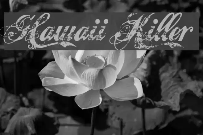 Hawaii Killer Fonte examples