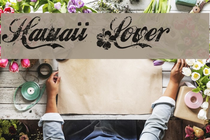 Hawaii Lover Font examples