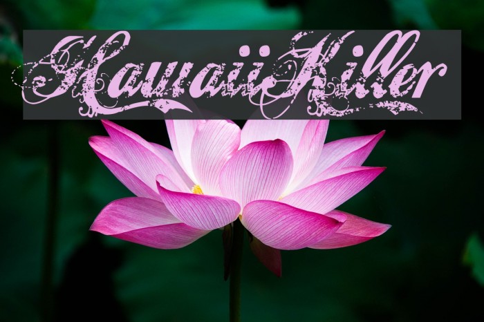 HawaiiKiller Font examples