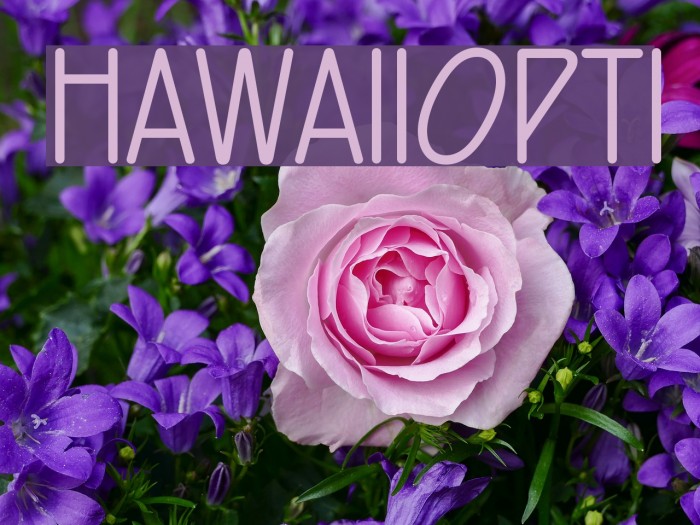 HawaiiOpti Font examples