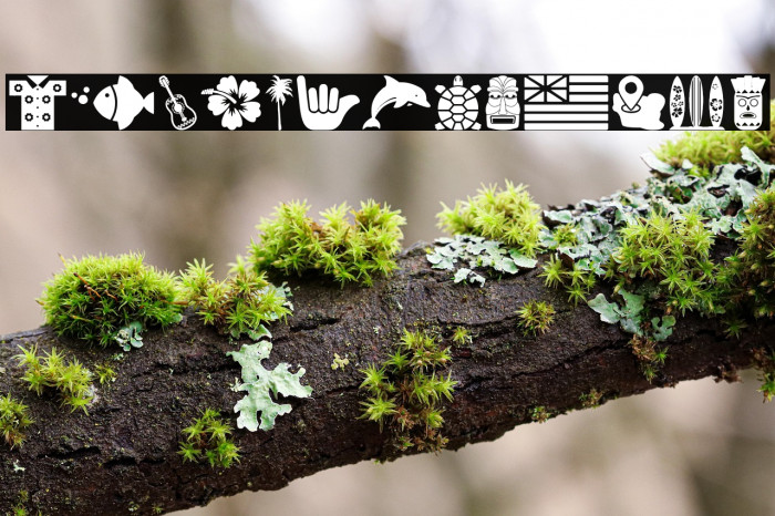 Hawaiian Icons Example 3