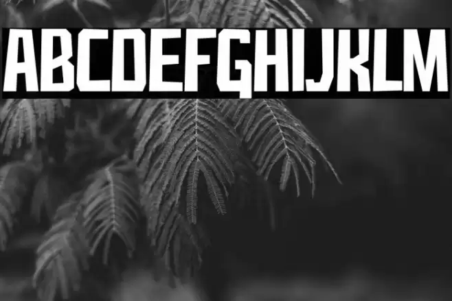 Hawainas Font examples