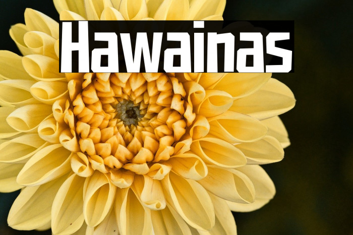 Hawainas Example 1