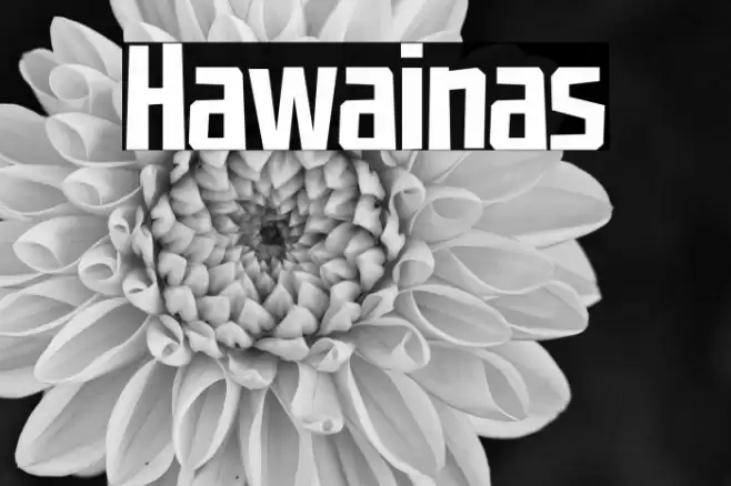 Hawainas Font examples