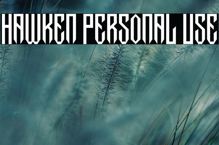 Hawken Personal Use Example 2