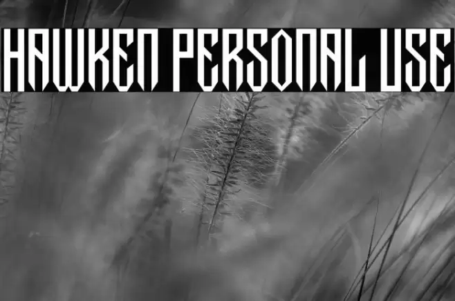 Hawken Personal Use Font examples