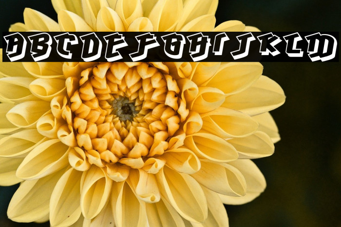 Hawkeye-Regular Example 3