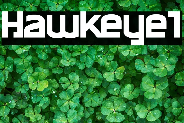 Hawkeye1 Example 1