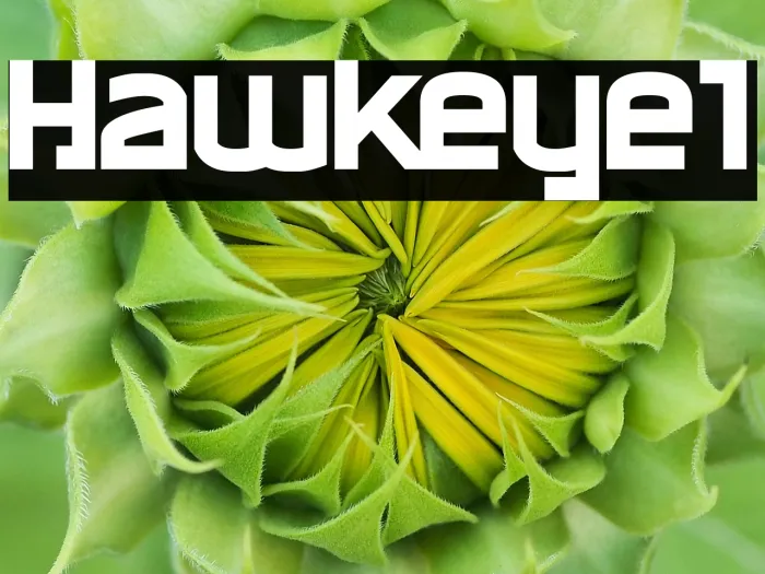 Hawkeye1 Example 2