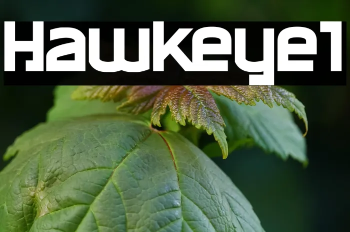 Hawkeye1 Example 3