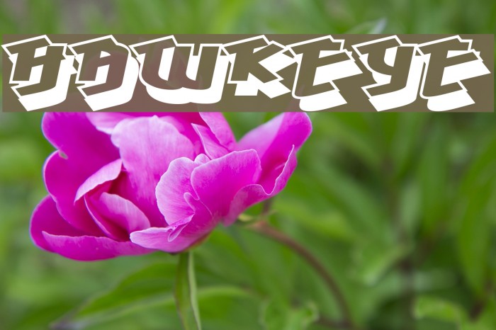 Hawkeye Font examples