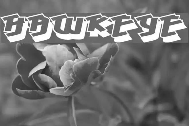 Hawkeye Font examples