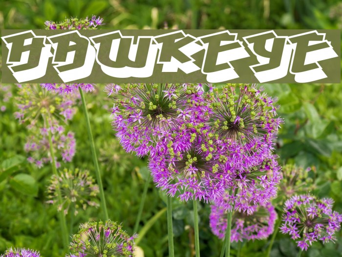 Hawkeye Font examples