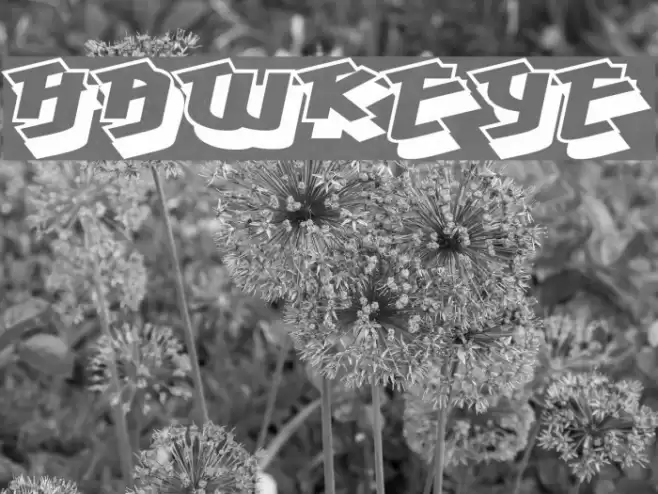 Hawkeye Font examples
