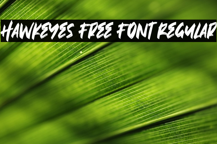 Hawkeyes Free Font Regular Example 1