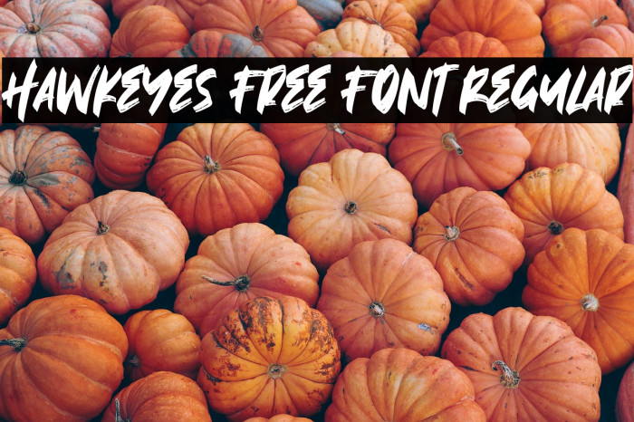 Hawkeyes Free Font Regular Example 2