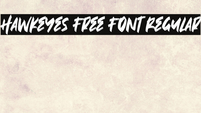 Hawkeyes Free Font Regular Example 3