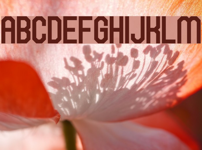 Hawking Bowen Example 1