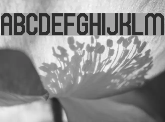 Hawking Bowen Font examples