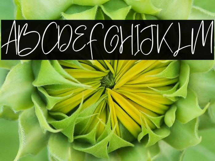 Hawkins park Regular Example 2