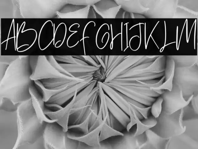 Hawkins park Regular Font examples