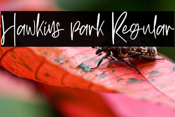 Hawkins park Regular Example 2