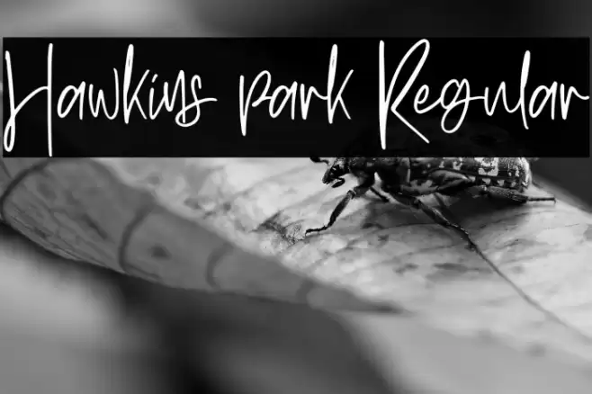 Hawkins park Regular Font examples
