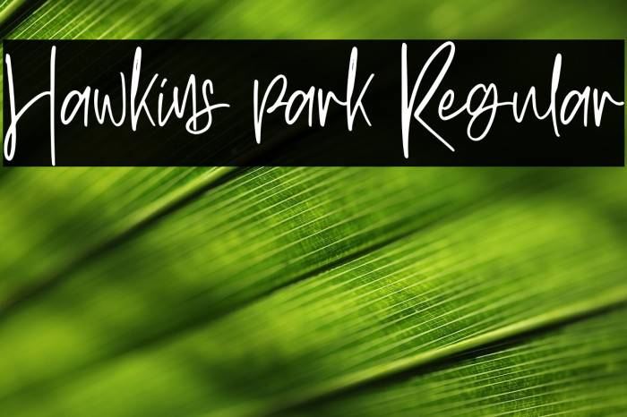 Hawkins park Regular Example 3