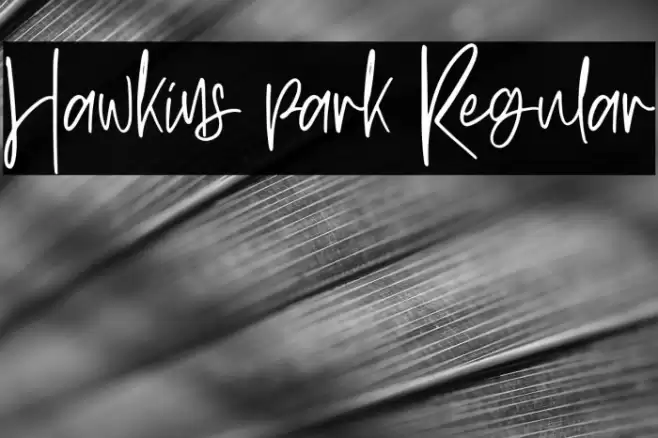 Hawkins park Regular Font examples